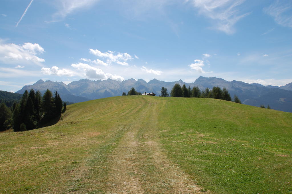 Cimon Dolomites Hotel Predazzo Esterno foto